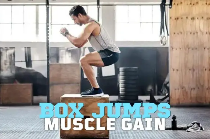 Boost Your Muscle Gain with Box Jumps