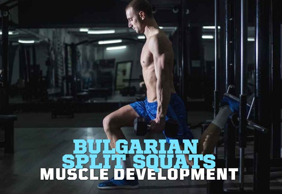 Bulgarian Split Squats for Maximum Muscle Development