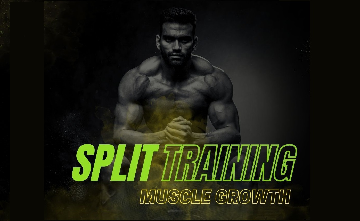 Split Training for Muscle Growth